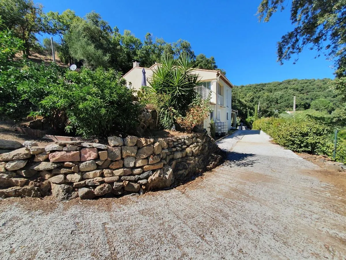 Apartment Petit Paradis Collobrieres