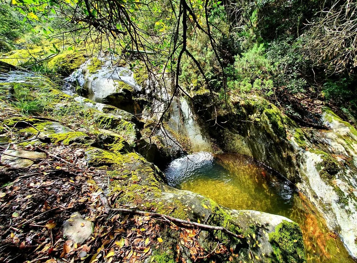 Petit Paradis Collobrieres 0*,  France