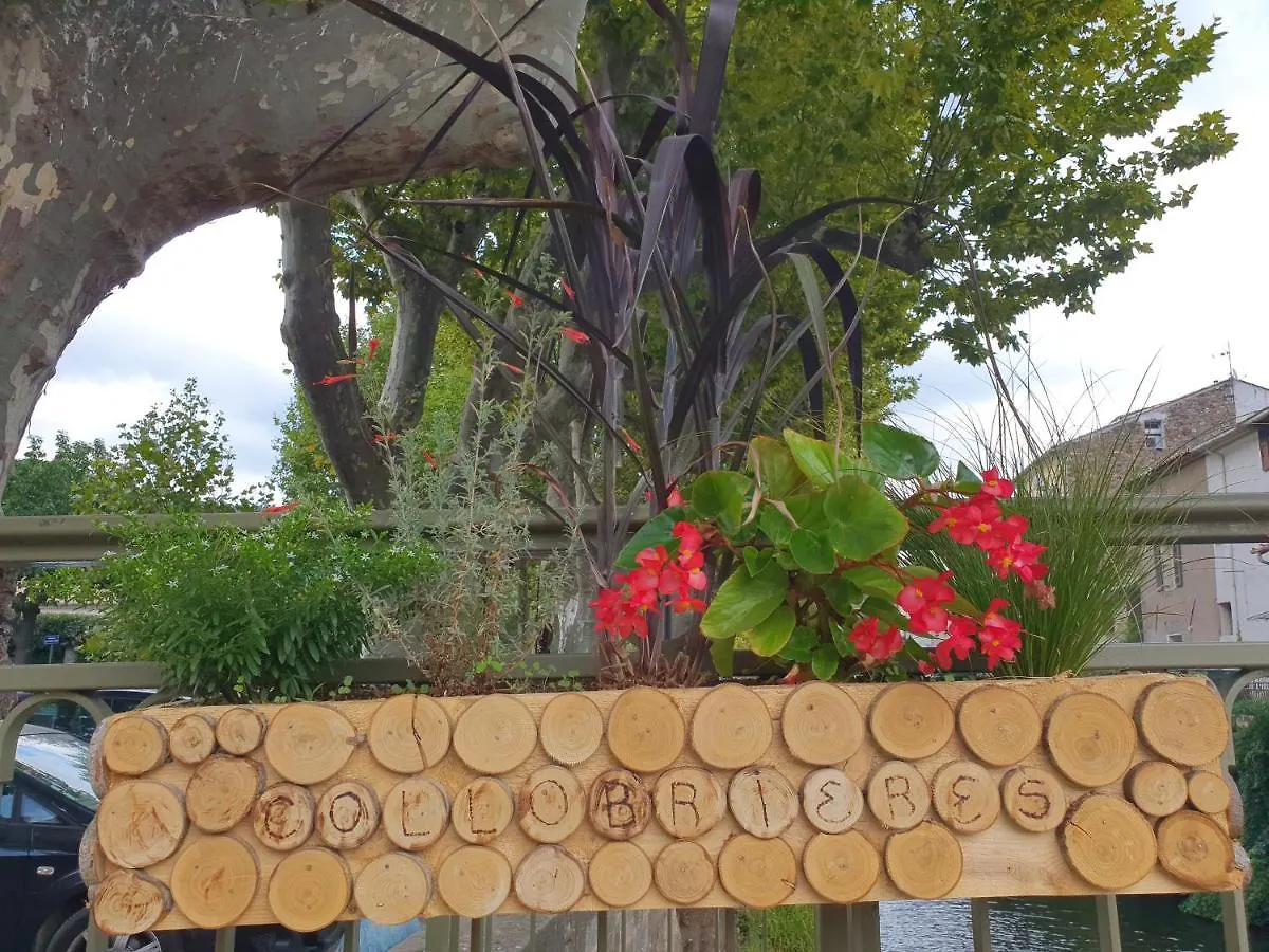 Petit Paradis Collobrieres Apartment